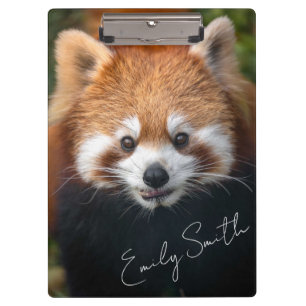 Pranchetas Área de Transferência do Red Panda Bear