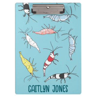 Pranchetas Área de Transferência do Shrimp Ornamental