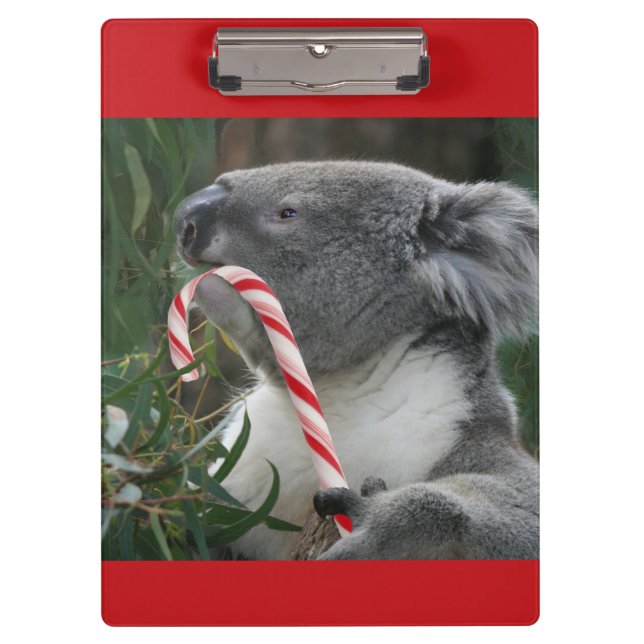 Pranchetas Área de Transferência do Urso Koala no Natal da Au (Frente)