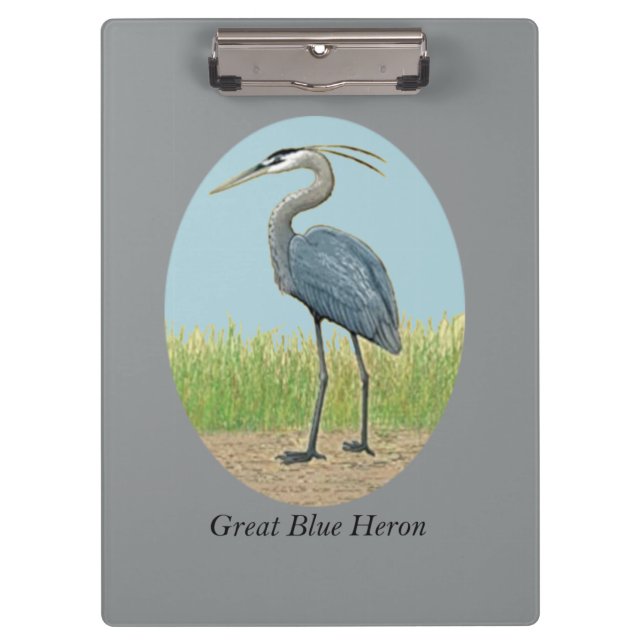 Pranchetas Área de Transferência Heron Azul excelente (Frente)