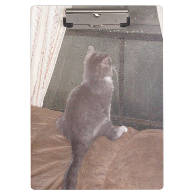 Pranchetas Área de Transferência Meow Cats 11 (Frente)