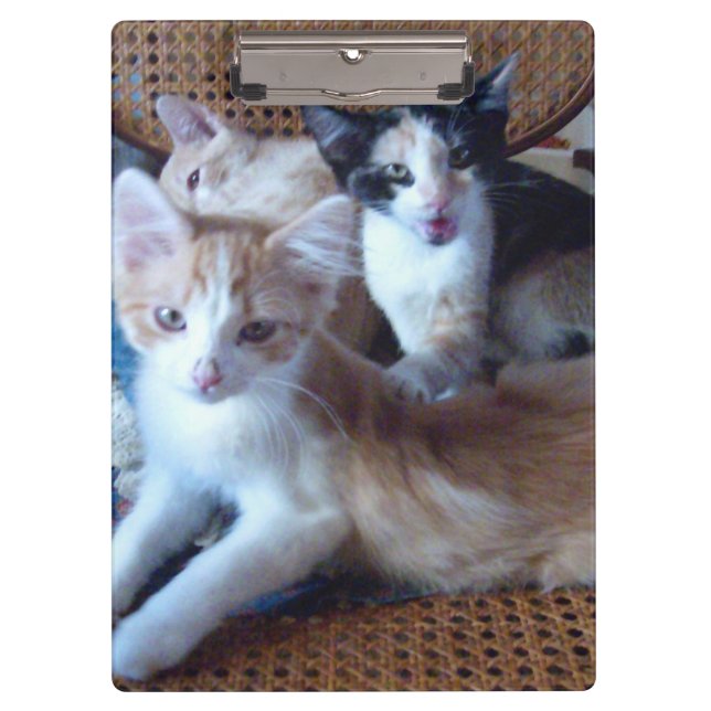 Pranchetas Área de Transferência Meow Cats 21 (Frente)