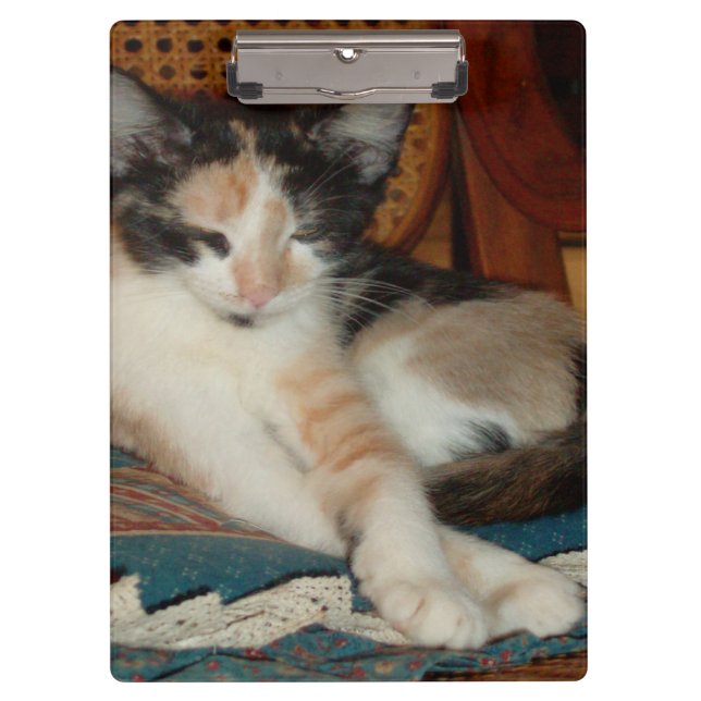 Pranchetas Área de Transferência Meow Cats 23 (Frente)