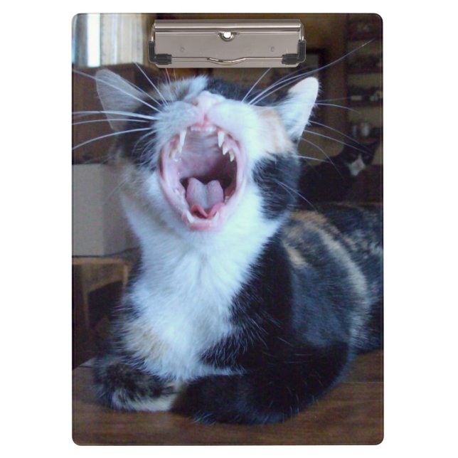 Pranchetas Área de Transferência Meow Cats 30 (Frente)