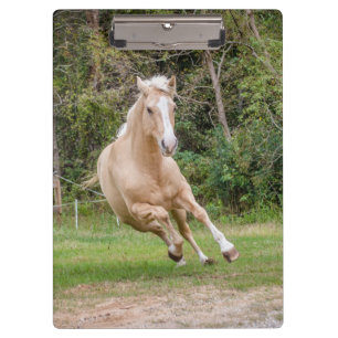 Pranchetas Área de transferência Palomino Horse