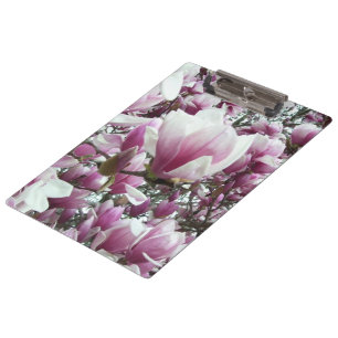 Pranchetas Área de transferência - Saucer Magnolia