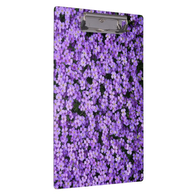 Pranchetas Área de Transferência Violet Flowers (Direita)