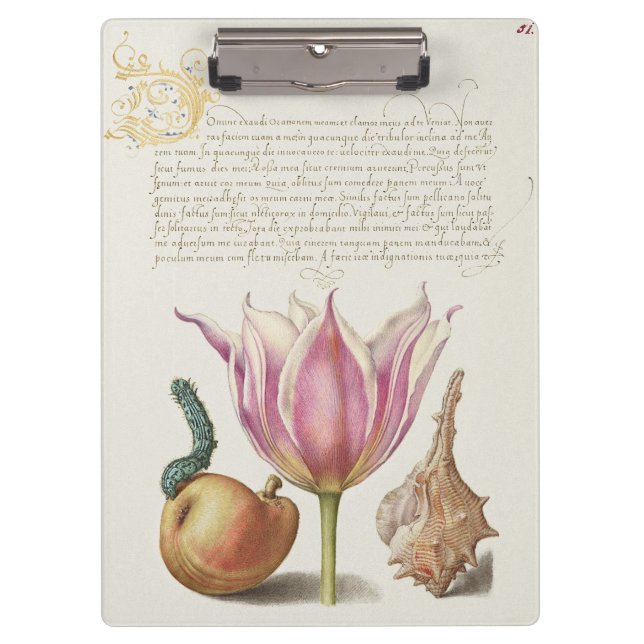 Pranchetas Arte de Caligrafia Renascença Tulipa Rosa e Pêra (Frente)