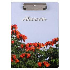 Pranchetas Árvore de tulipa africana botânica algum texto