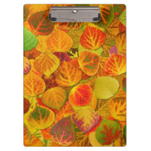 Aspen Deixa Collage Sólido Medley 1