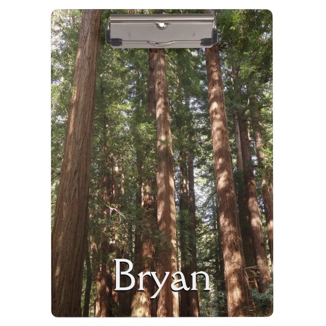 Pranchetas Até Sequoias II no Monumento Nacional de Muir Wood (Frente)