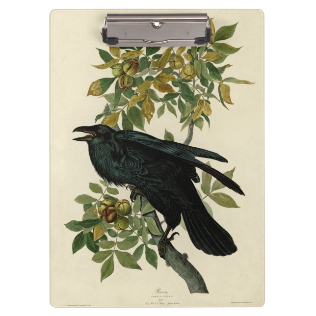 Pranchetas Audubon Raven Bird Classic Trabalho de arte (Frente)