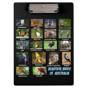 Pranchetas Aves da Austrália