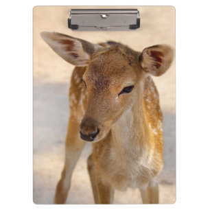 Pranchetas Baby Deer
