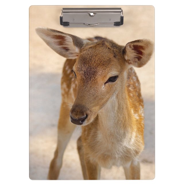 Pranchetas Baby Deer (Frente)