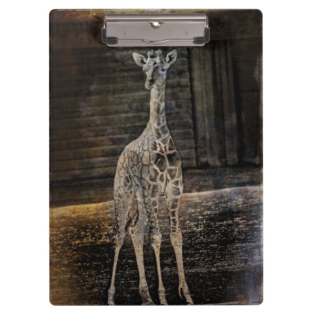 Pranchetas Baby Giraffe (Frente)