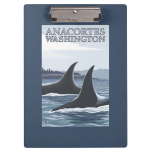 Pranchetas Baleias #1 da orca - Anacortes, Washington