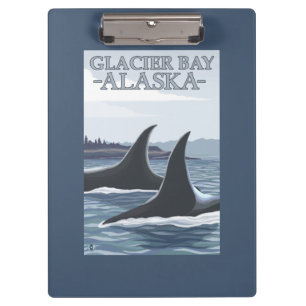 Pranchetas Baleias #1 da orca - baía de geleira, Alaska