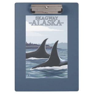 Pranchetas Baleias #1 da orca - Skagway, Alaska