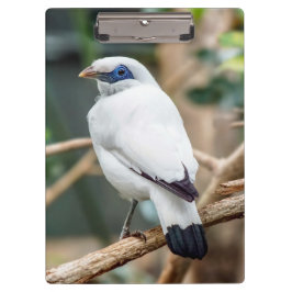 Pranchetas Bali Myna Bird Clipboard