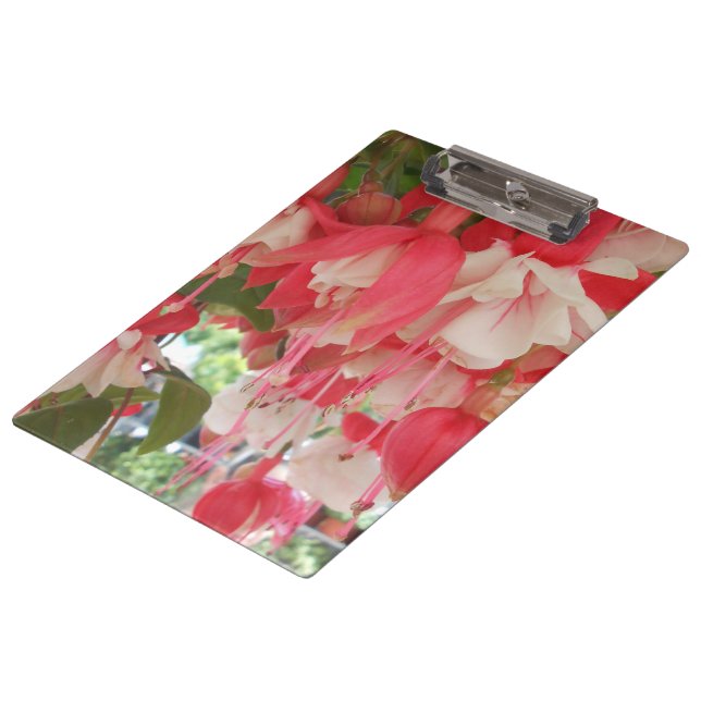 Pranchetas Bashkirtseff (Inclinado)