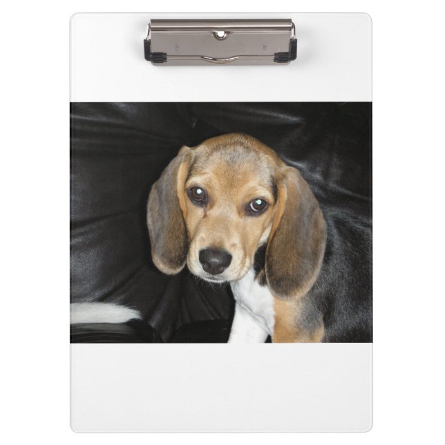 Pranchetas beagle cachorrinho 2 (Frente)