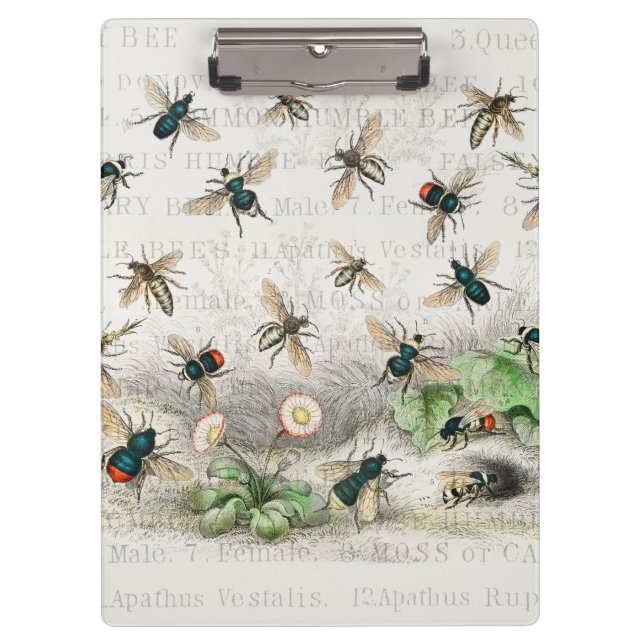 Pranchetas Bee Honey Queen Bees Antique (Frente)