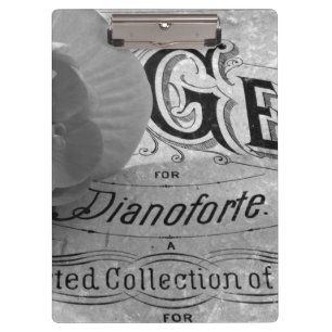 Pranchetas Begonia Gems Pianoforte