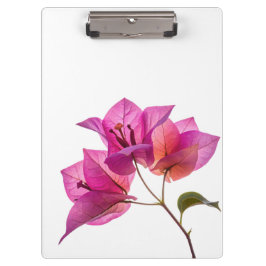 Pranchetas Bela Kagoj Phool Flor De Papel Flora Botânica