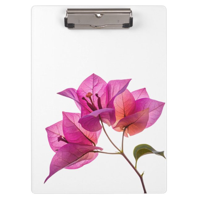 Pranchetas Bela Kagoj Phool Flor De Papel Flora Botânica (Frente)