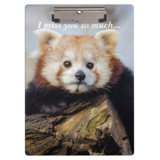 Pranchetas Bela Panda Vermelha Sente Tanta Falta De Você