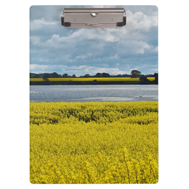 Pranchetas Bela Streatham Dramática (Frente)