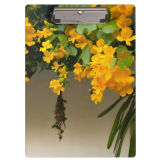 Pranchetas Beleza Flor de Ouro