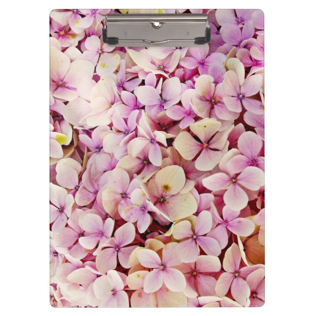 Pranchetas Belos Flores de Hydrangea (Frente)