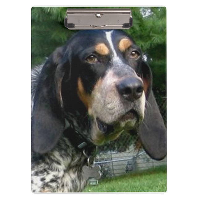 Pranchetas Bluetick Coonhound.png (Frente)