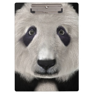 Pranchetas Bonito Urso de Panda Kawaii Amante de os animais p