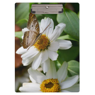 Pranchetas Borboleta/Borboleta Branca de Pavão e Visitas
