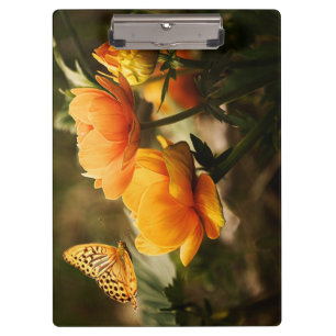 Pranchetas Borboleta Laranja e Flores