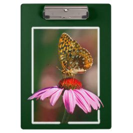 Pranchetas Borboleta No ConEFlower Roxo