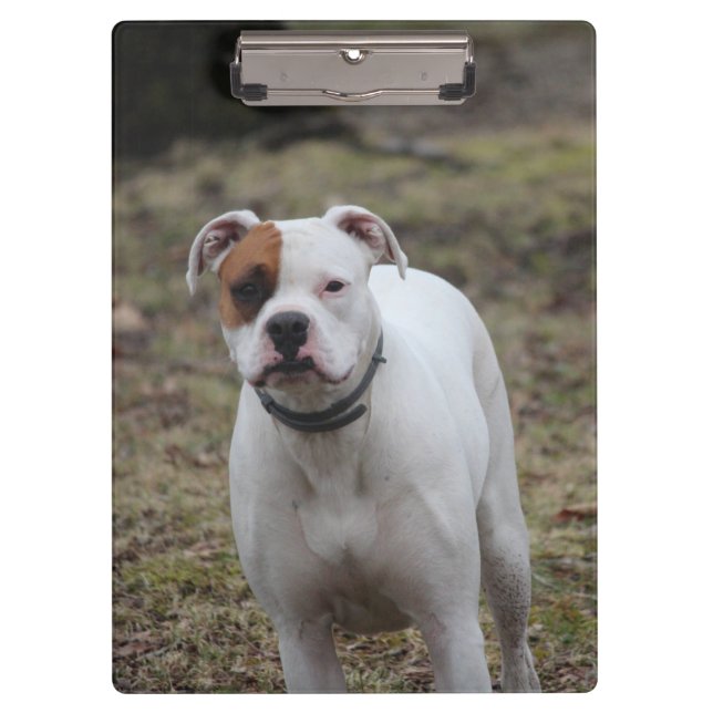 Pranchetas Boxer (Frente)