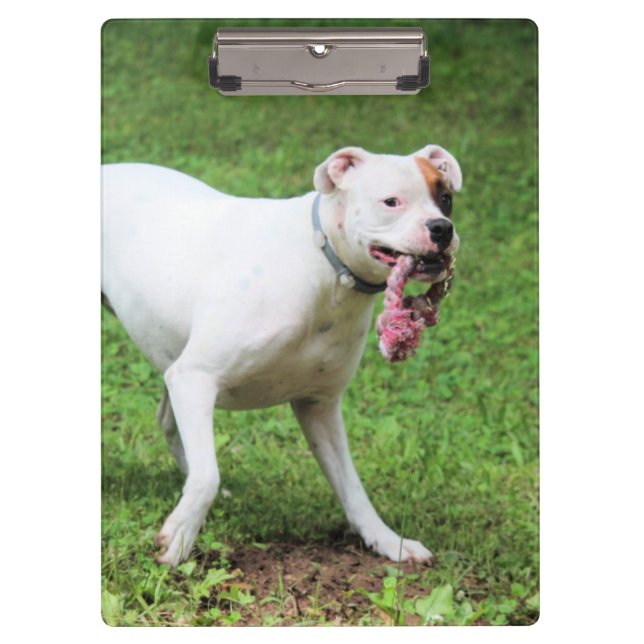 Pranchetas Boxer (Frente)