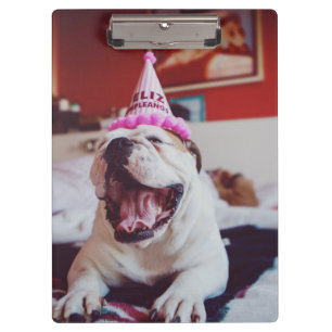 Pranchetas Buldogue britânico das imagens de Getty