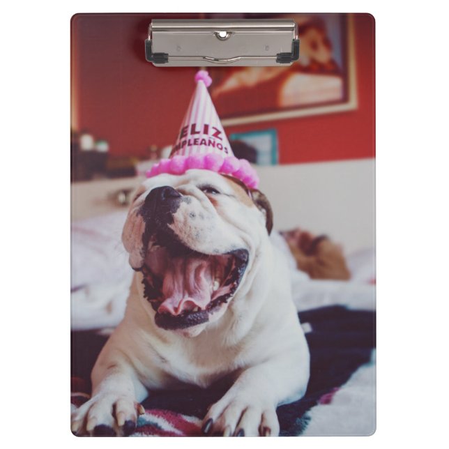 Pranchetas Buldogue britânico das imagens | de Getty (Frente)