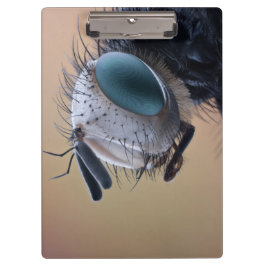 Pranchetas Cabeça de Inseto de Insetos de Fechamento