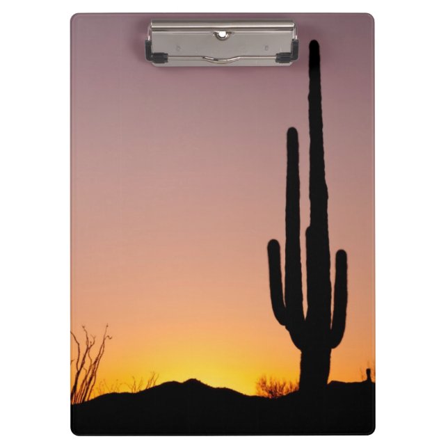 Pranchetas Cacto do Saguaro no por do sol (Frente)