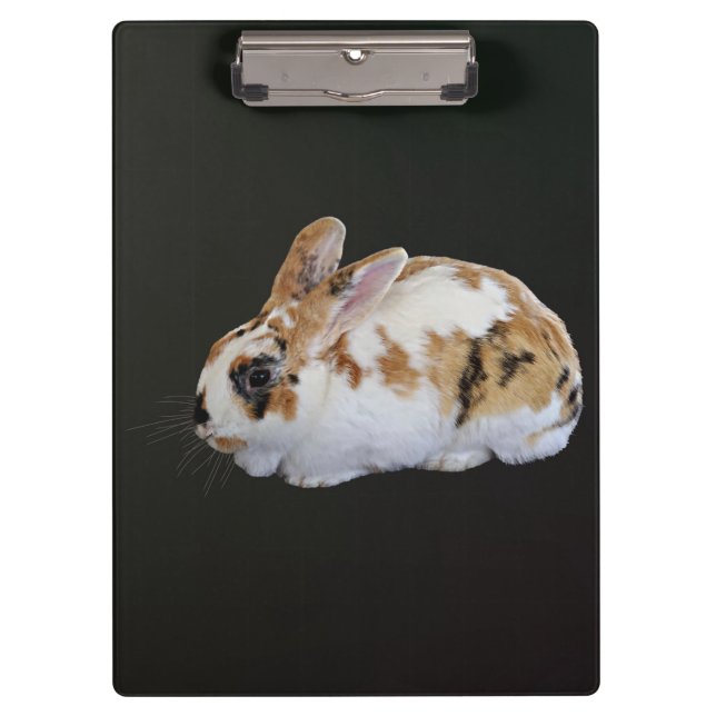 Pranchetas Calico Rabbit (Frente)