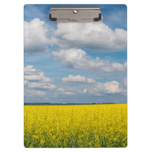 Pranchetas Campo de Canola & Nuvens