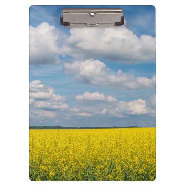 Pranchetas Campo de Canola & Nuvens (Frente)
