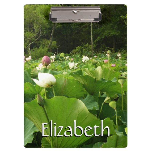 Pranchetas Campo de Flores de Lotus no Jardim de Verão (Frente)