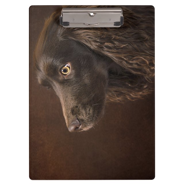 Pranchetas Cão De Cabelo Castanho (Frente)